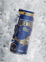 Ásványvíz, szénsavas, 250 ml, FLOEWATER